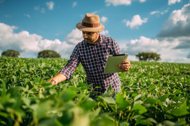 shutterstock produtor rural_compressed